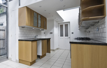 Barnsbury kitchen extension leads